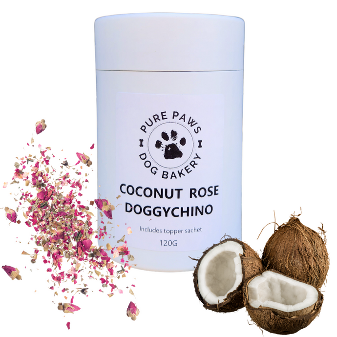 Coconut Rose Doggychino
