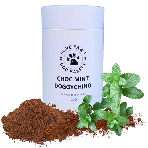 Choc Mint Doggychino