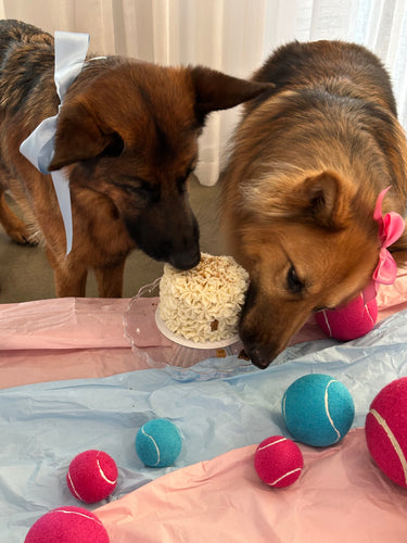 Baby Gender Reveal Cake