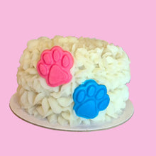 Baby Gender Reveal Cake