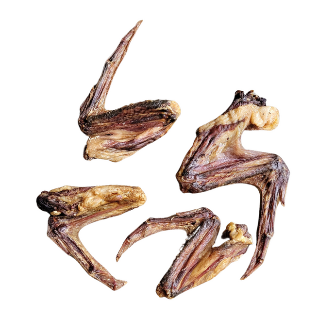 Duck Wing