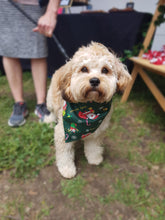 Christmas Pet Bandana